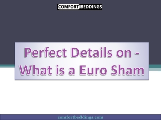 Perfect Details on - What is a Euro Sham