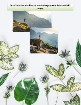 Turn Your Favorite Photos Into Gallery-Worthy Prints with EZ Prints