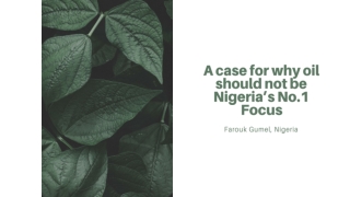 Farouk Gumel - A case for why oil should not be Nigeria’s No.1 Focus