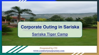Weekend Getaways in Sariska | Sariska Tiger Camp