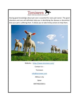 Buy Animal Medicines Online | Torsineen.com