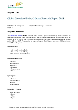 Motorized Pulley Market Research Report 2021