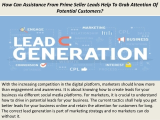 How Can Assistance From Prime Seller Leads Help To Grab Attention Of Potential Customers?