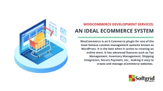 WooCommerce Development Services: An Ideal Ecommerce System