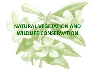 powerpoint presentation natural vegetation and wildlife