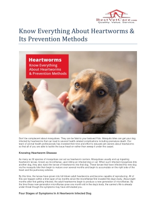 Know Everything About Heartworms & Prevention Methods