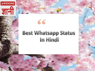 Whatsapp Status In Hindi