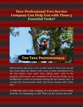 How Professional Tree Service Company Can Help You With These 5 Essential Tasks?