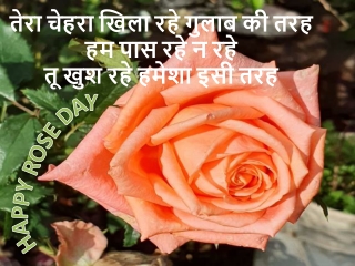 Rose Day Shayari in Hindi
