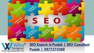 SEO Experts in Punjab | SEO Consultant Punjab | 9877575088