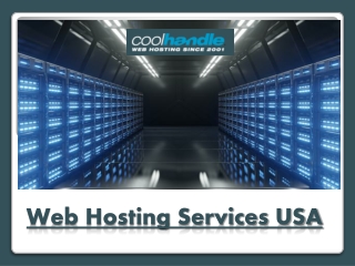 Web Hosting Services USA