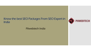 SEO Expert India- SEO Packages