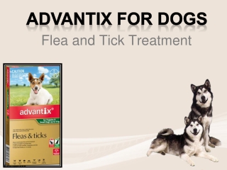 Buy Advantix for Dogs at best price in Australia - Flea and Tick Treatment