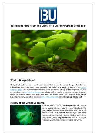 Fascinating Facts About The Oldest Tree On Earth! Ginkgo Biloba Leaf whatisginkgoBiloba