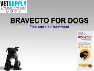 Buy Bravecto for Dogs at best price in Australia - Flea and Tick Treatment
