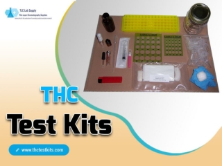 Best THC Test Kits for Home Drug Check