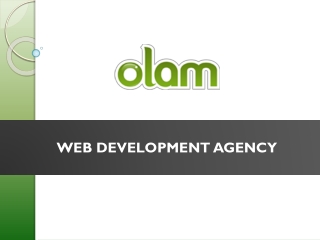 Web Development Agency