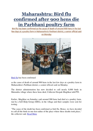 Maharashtra: Bird flu confirmed after 900 hens die in Parbhani poultry farm