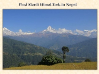 Find Mardi Himal Trek in Nepal