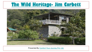 Luxury Accommodation in Jim Corbett | Best Adventure Resort in Jim Corbett | The Wild Heritage Resort Jim Corbett