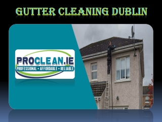 Gutter Cleaning Dublin