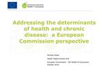 Michael H bel Health Determinants Unit European Commission - DG Health Consumers October 2010