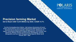 Precision Agriculture Market Size To Reach USD 13,016 Million By 2026