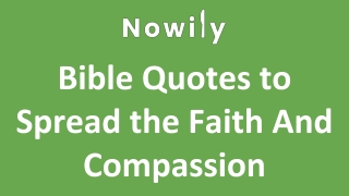 Bible Quotes to Spread the Faith And Compassion