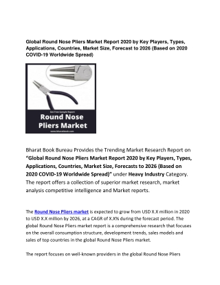 Global Round Nose Pliers Market Report 2020 Forecast: 2026