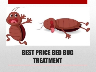 Isolate the infection of bed bugs in your homes