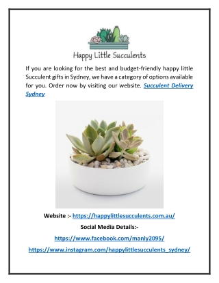 Succulent Delivery Sydney | Happylittlesucculents.com.au