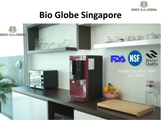 Bioglobe Singapore Pte Ltd