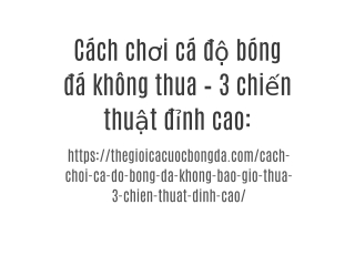 Cách chơi cá độ bóng đá không thua – 3 chiến thuật đỉnh cao: