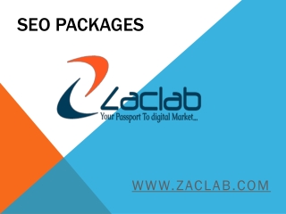 SEO Packages