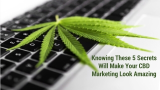 Knowing These 5 Secrets Will Make Your CBD Marketing Look Amazing