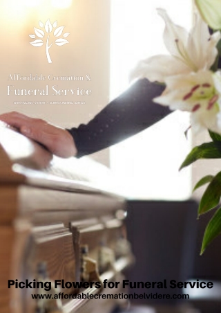 Rockford Funeral Homes in the US