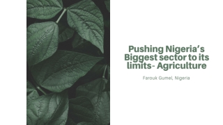 Farouk Gumel | Pushing Nigeria’s Biggest sector to its limits - Agriculture