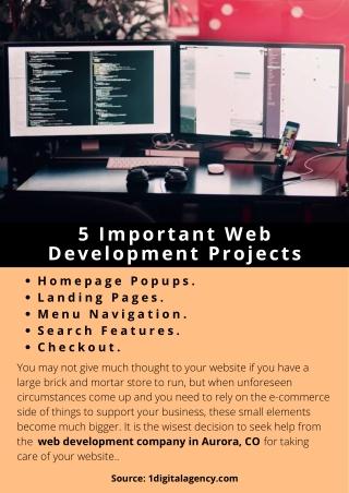 5 Important Web Development Projects