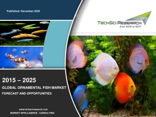 Ornamental Fish Market Size, Share & Forecast 2025