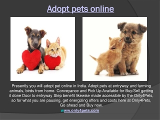 pet selling website