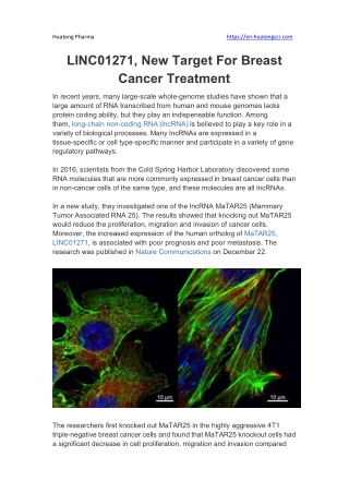 A New Generation of Cancer Immunotherapy Called "ISAC" Can Achieve Complete Tumor Regression