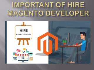 Important of hire Magento developer