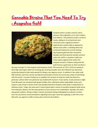 Cannabis Strains That You Need To Try : Acapulco Gold