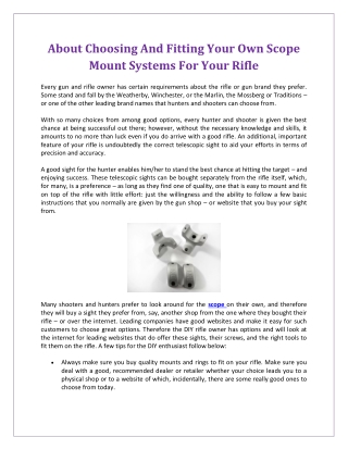 About Choosing And Fitting Your Own Scope Mount Systems For Your Rifle
