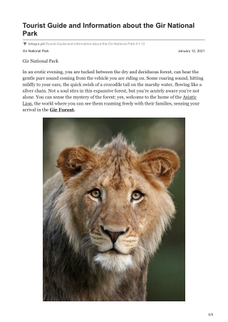 Tourist Guide and Information about the Gir National Park