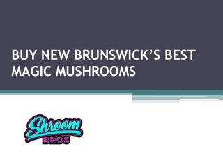 Shroom Bros