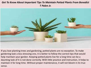 Get To Know About Important Tips To Maintain Potted Plants From Benedict T Palen Jr.