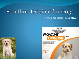 Buy Frontline Original Best Flea Treatment for Dogs at best price in Australia - VetSupply
