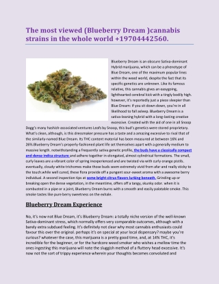 The most viewed (Blueberry Dream )cannabis strains in the whole world  19704442560.