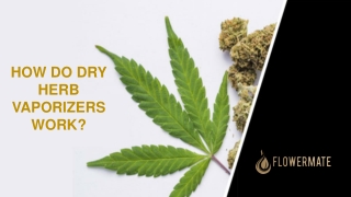 HOW DO DRY HERB VAPORIZERS WORK?